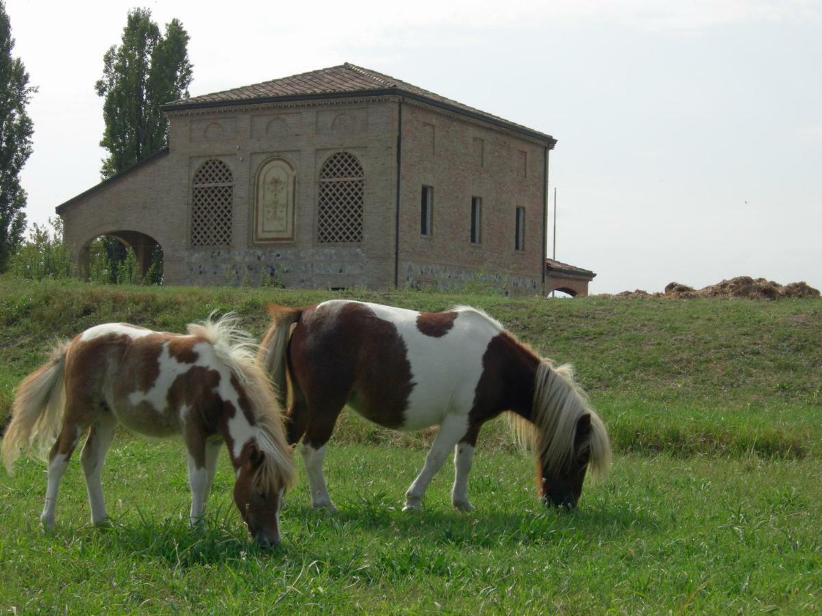 Agriturismo Corte Ghiara 호텔 폰타넬라토 외부 사진
